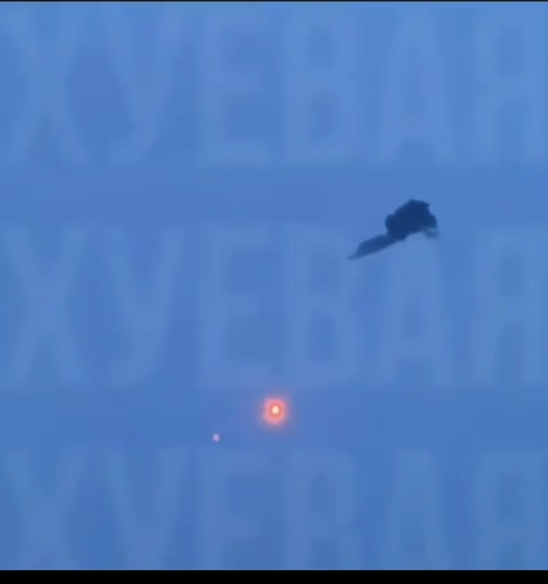 Пухнастий українобот 🇺🇦⚓️ tweet media