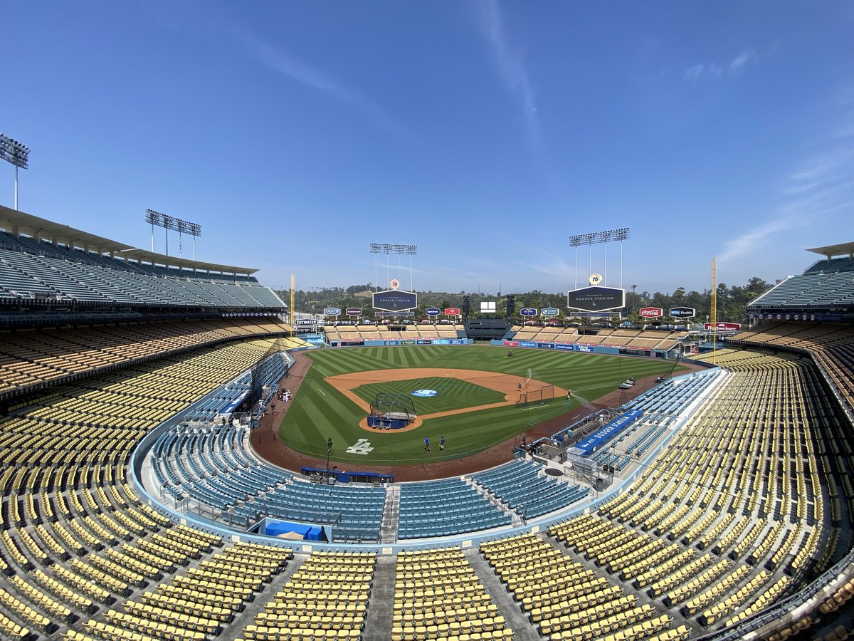 Maddie Lee tweet media