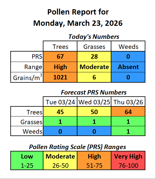 Forsyth County, NC Pollen tweet media