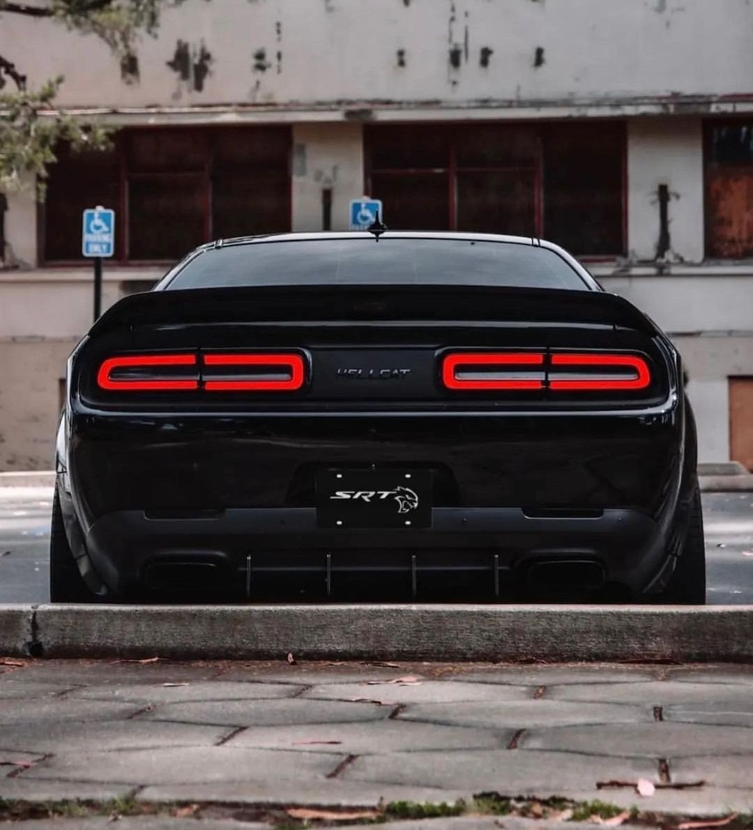 𝑾𝒐𝒓𝒍𝒅𝑾𝒊𝒅𝒆𝑪𝒂𝒓𝒔™ tweet media