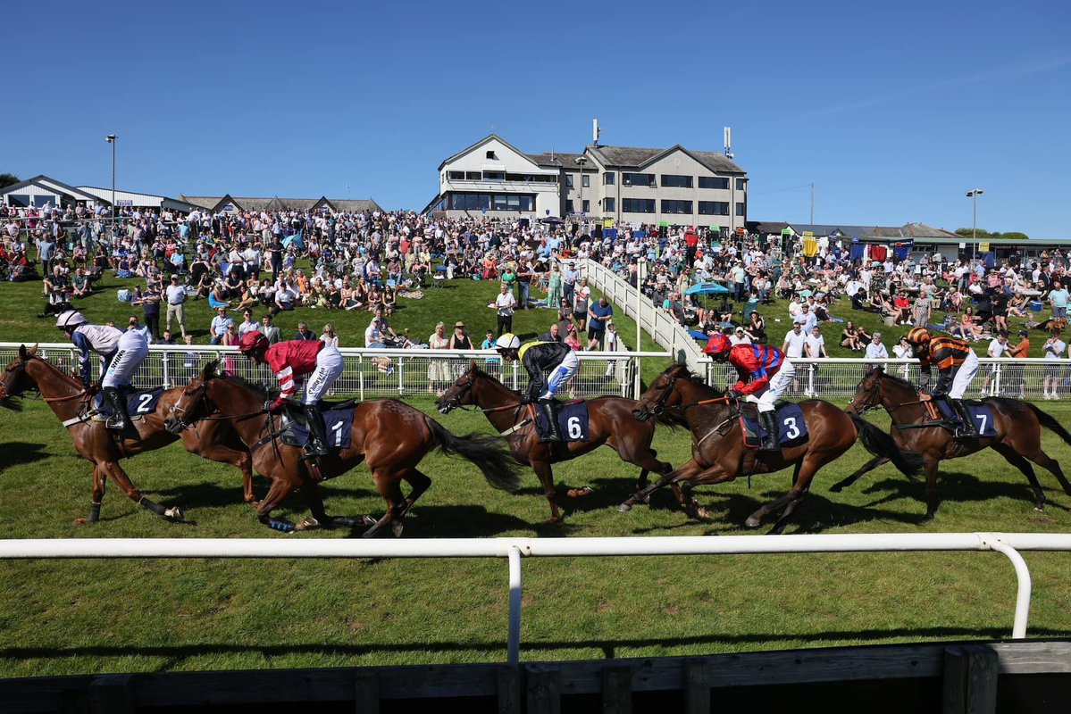 🐦Pigeon🐎Island🐦 tweet media