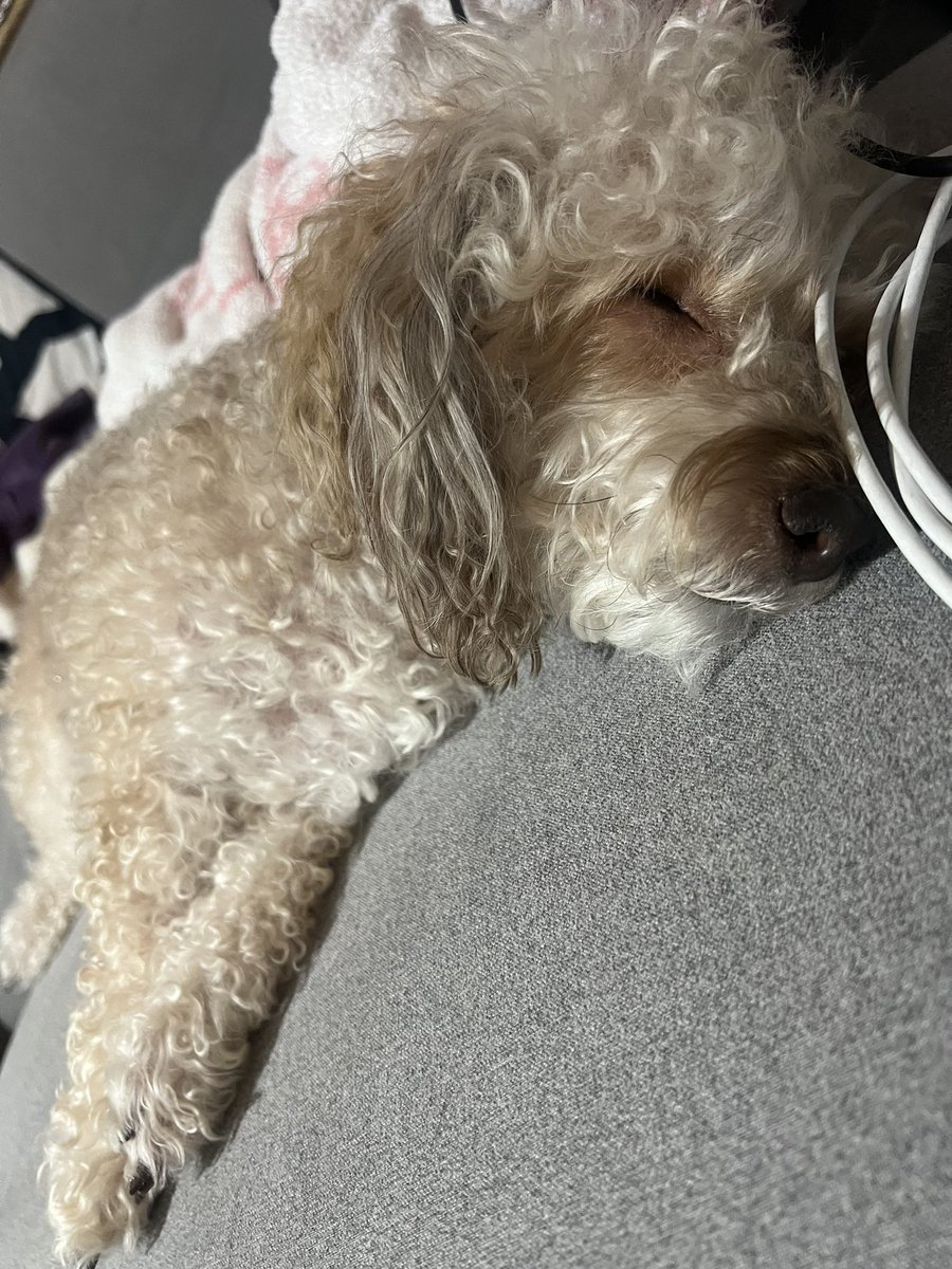 Cryptoe Jammin tweet media