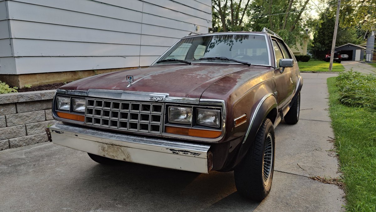 Slick Elkhound 🔜 FWA tweet media