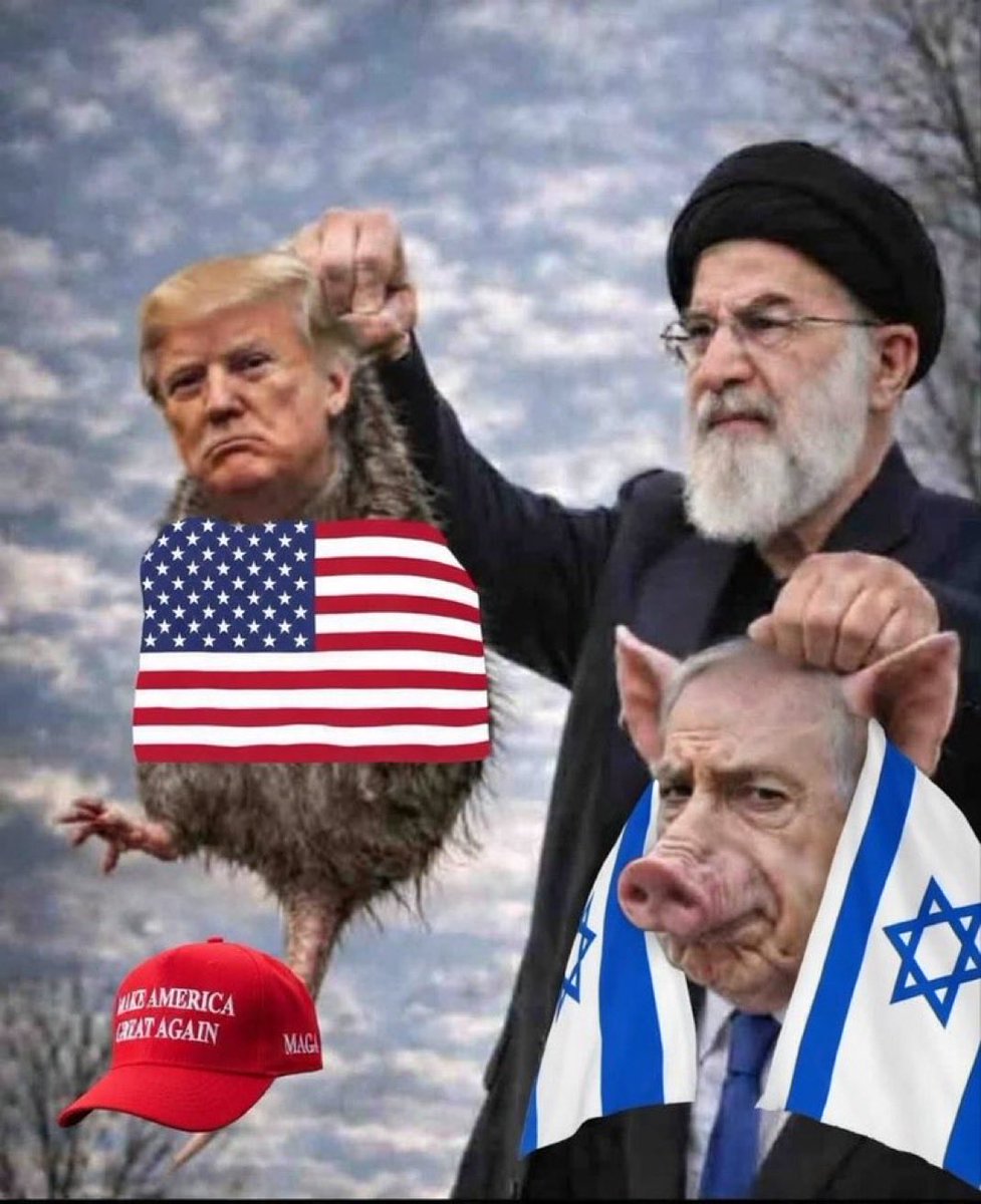 annathbaba 🇵🇸 tweet media