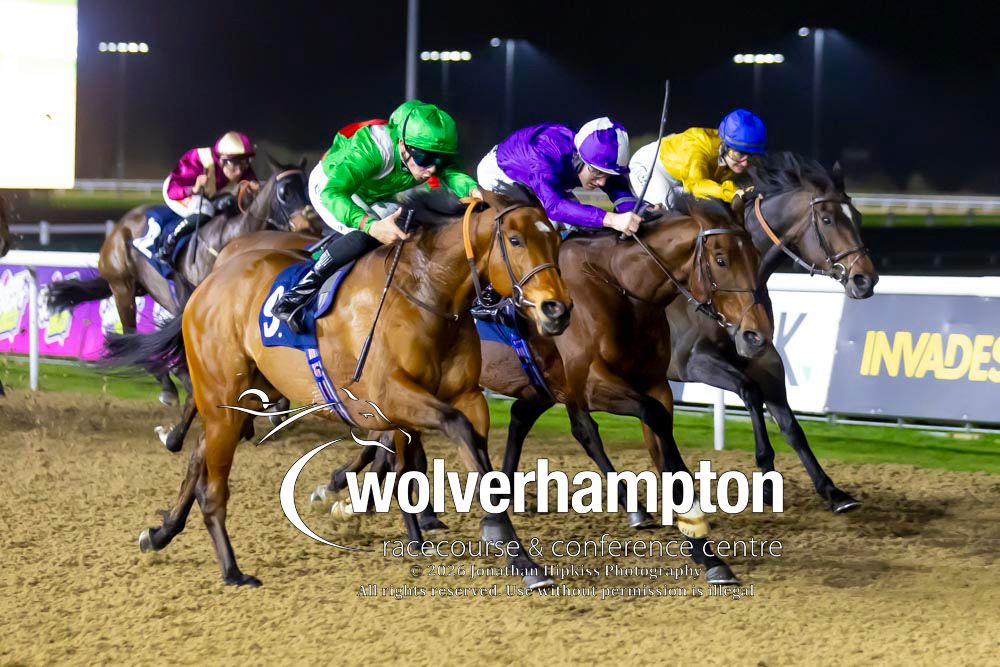 Wolverhampton Races tweet media