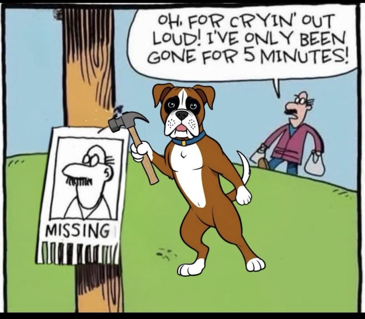 🐾★Carrie★⚡️🏴󠁧󠁢󠁳󠁣󠁴󠁿 tweet media