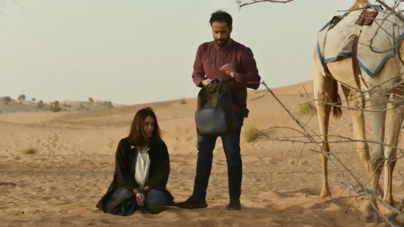 رينا 𝜗𝜚 tweet media