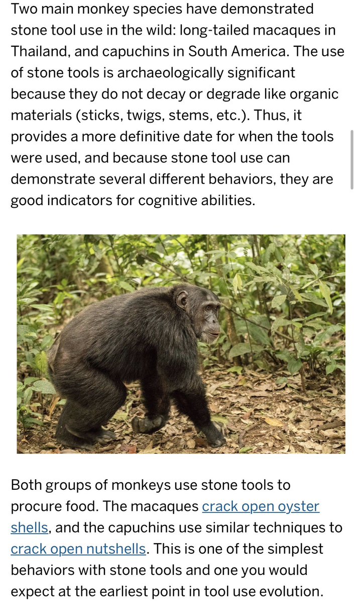 Sami Gold tweet media