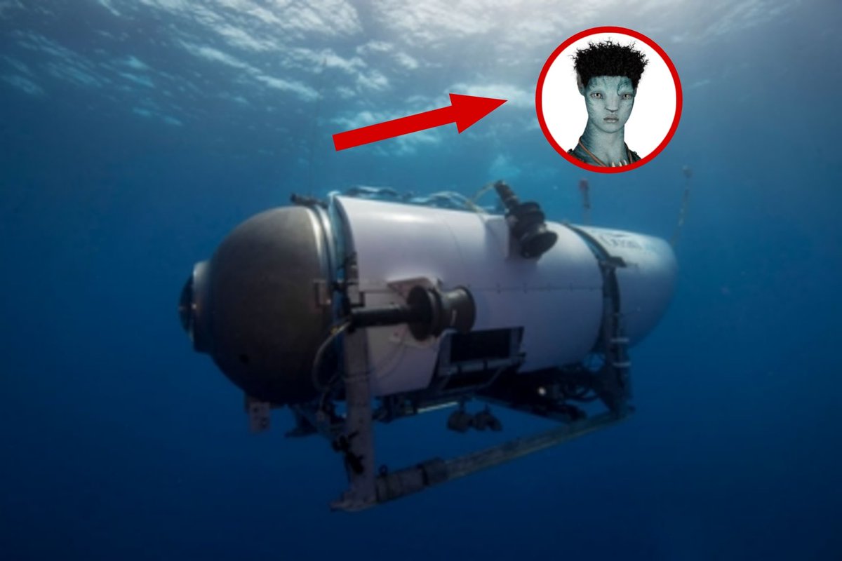 Jez | Rotxo Nation 🦭 tweet media