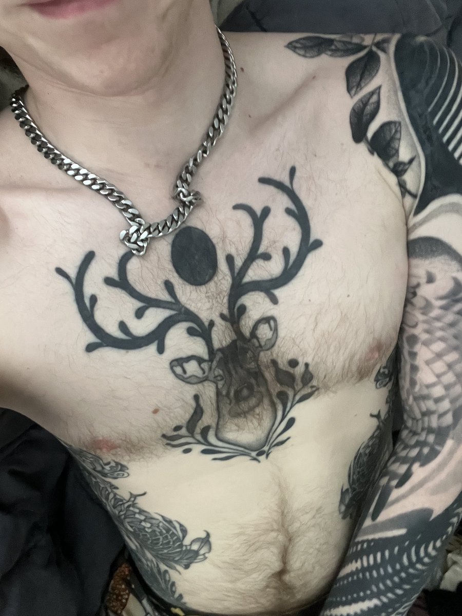 Vel’s Library tweet media