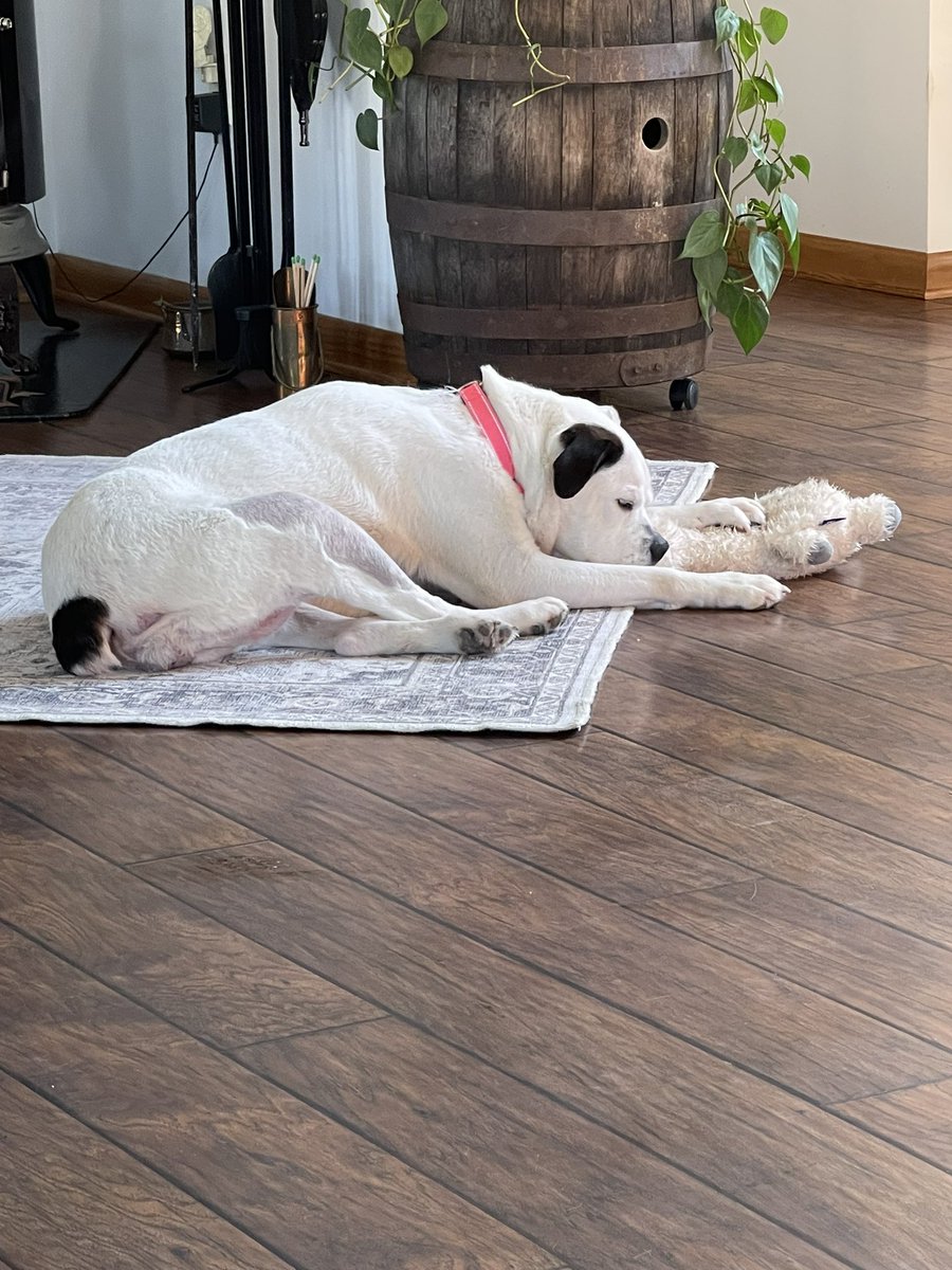 Alissa Macchia tweet media