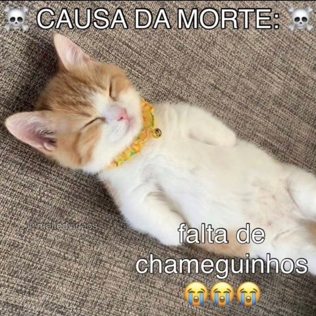 Calvo 😔 tweet media