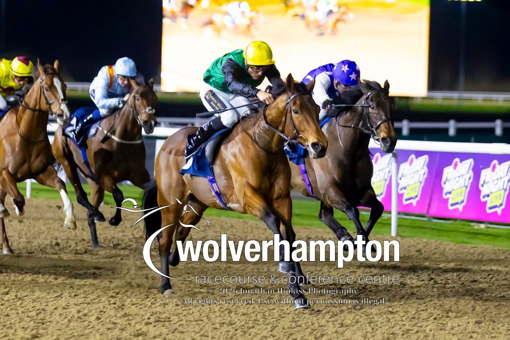 Wolverhampton Races tweet media