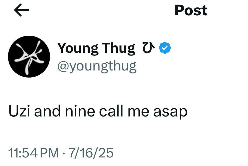 TypicalThief tweet media