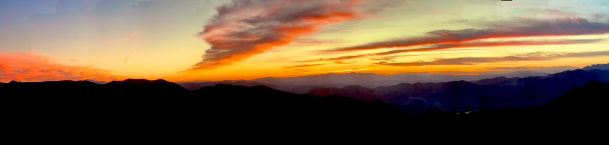 Flawwed1 tweet media