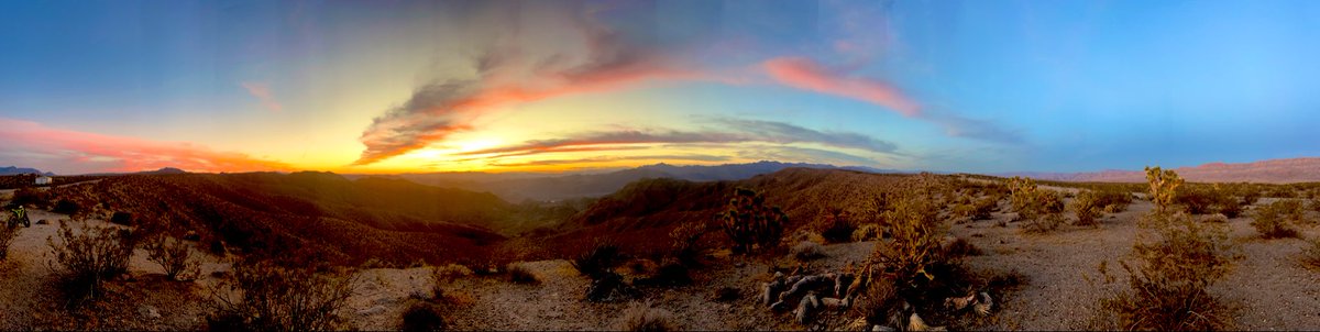 Flawwed1 tweet media