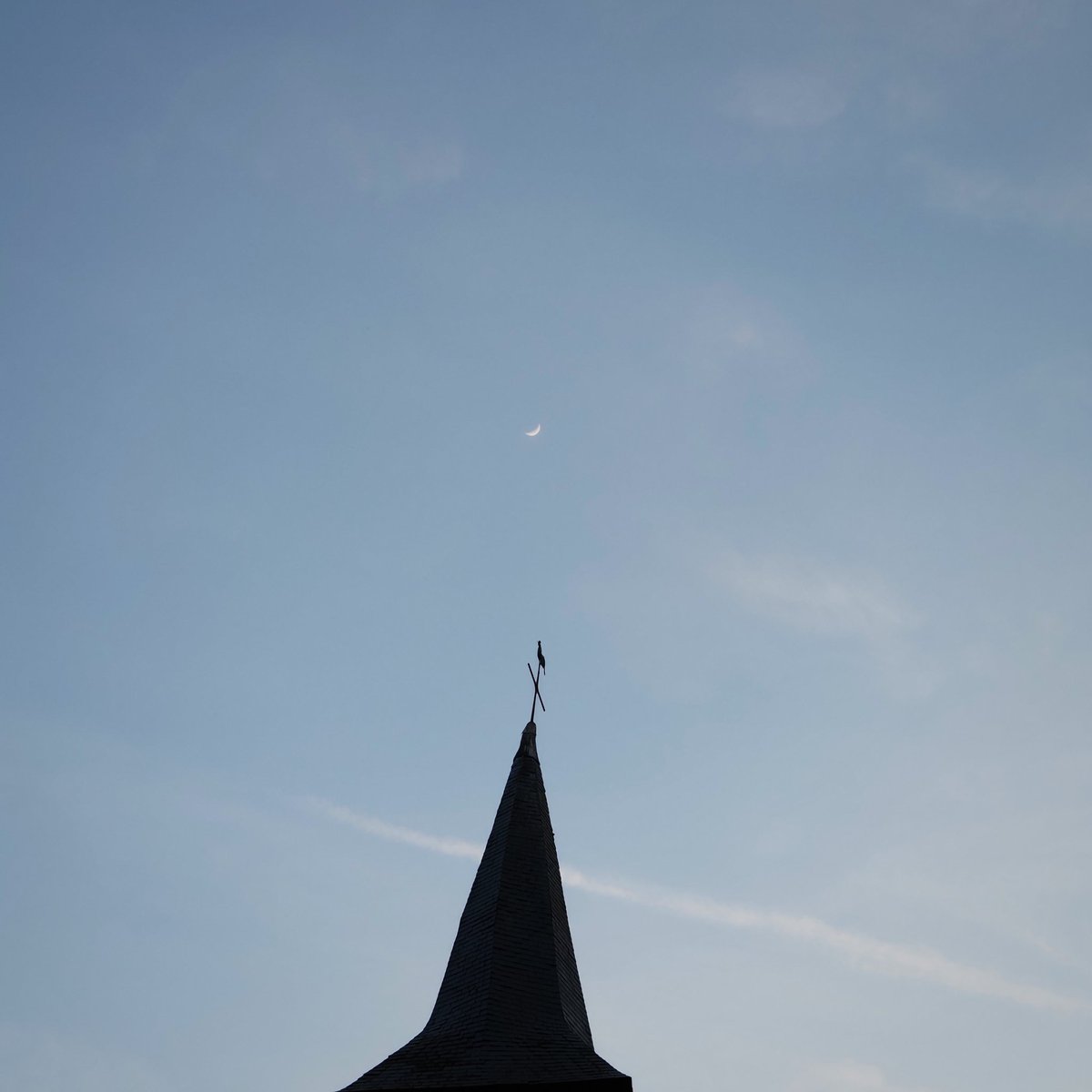 ☄️🌌🔭 ✖️Dam ⚡🌱🐙 tweet media