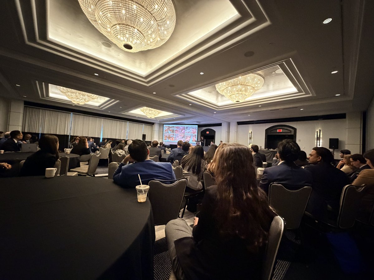 Laleh Foroutani tweet media