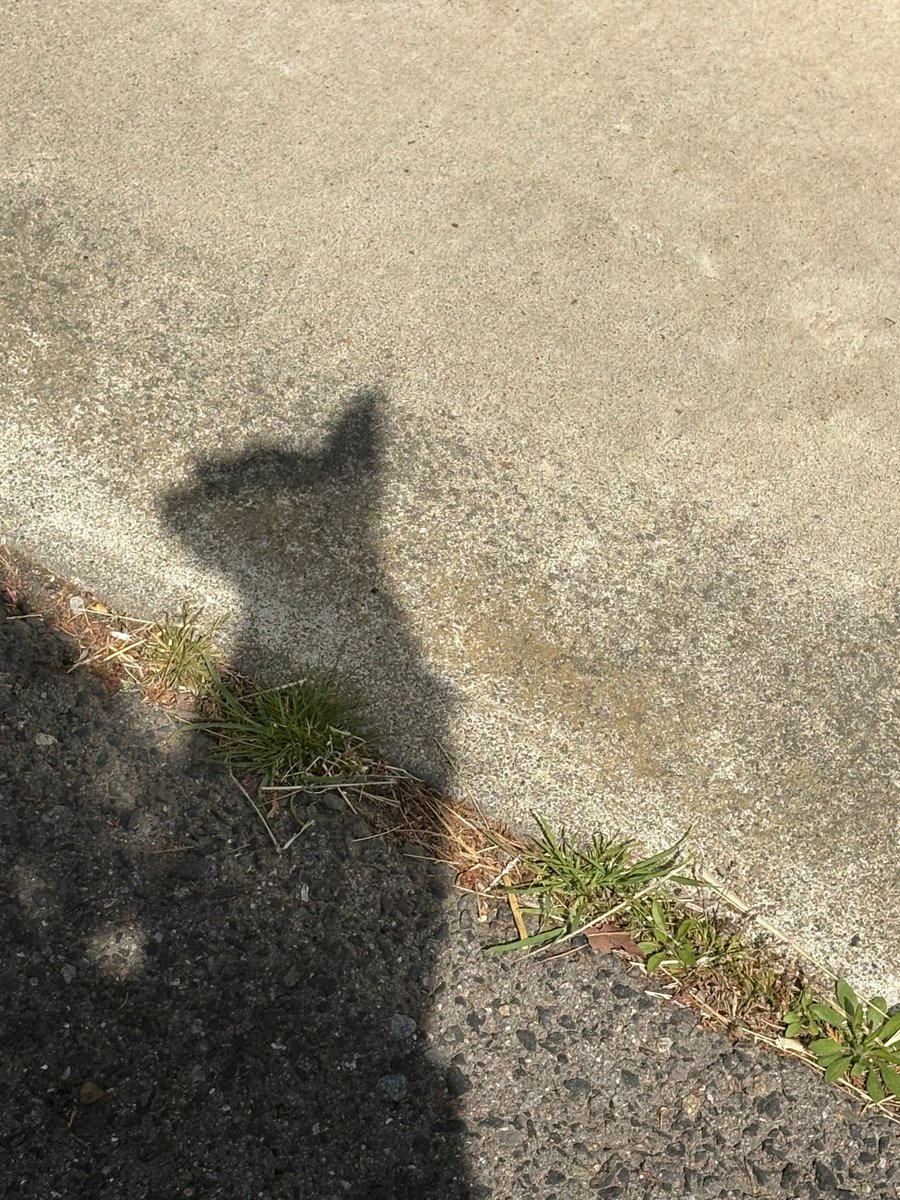 合同会社エースプランニング tweet media