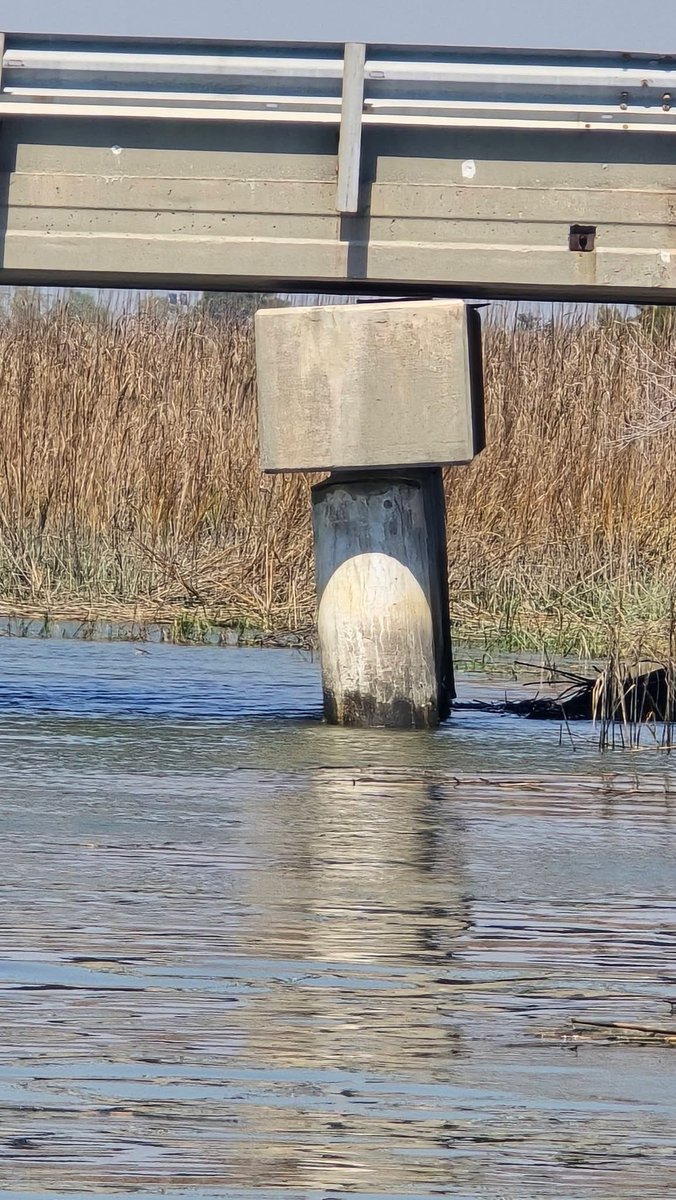 Christopher Wipper tweet media