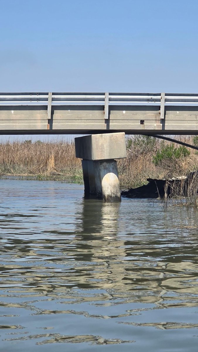 Christopher Wipper tweet media