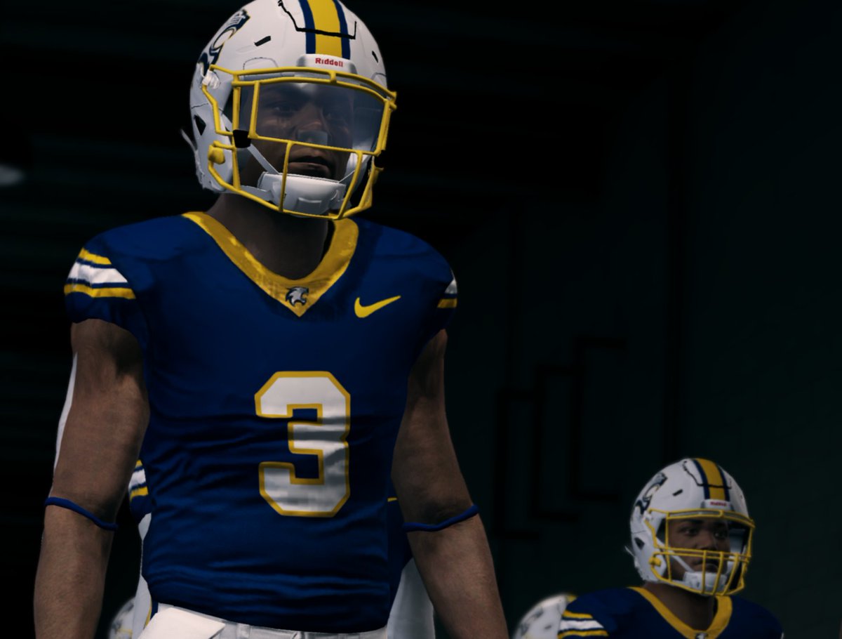 Wisconsin High School Football Mod tweet media