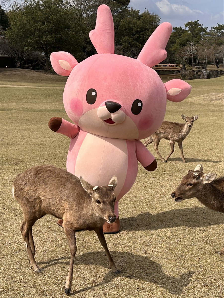 岩下 和了 🆕🫚 tweet media