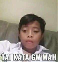 7th year ; Chel 𖣂⁵🐇 tweet media