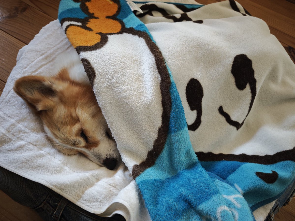 革榮 Kawazakae tweet media