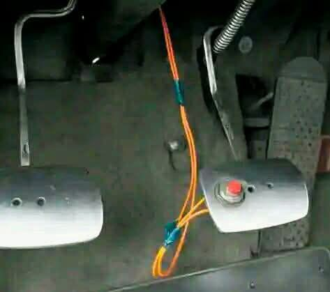 Connie 🇺🇸 tweet media