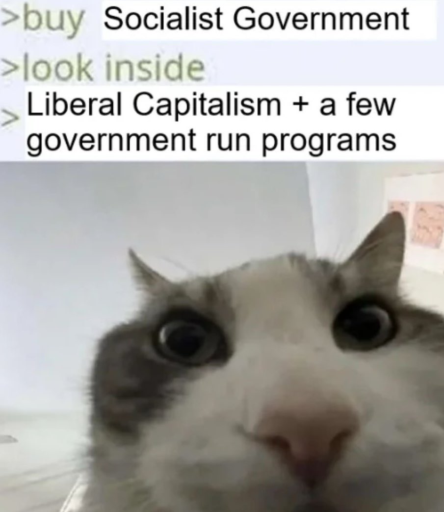 Sweg Bucket 🇺🇸 tweet media