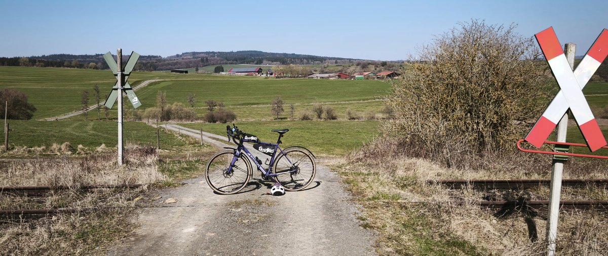 stayriced tweet media