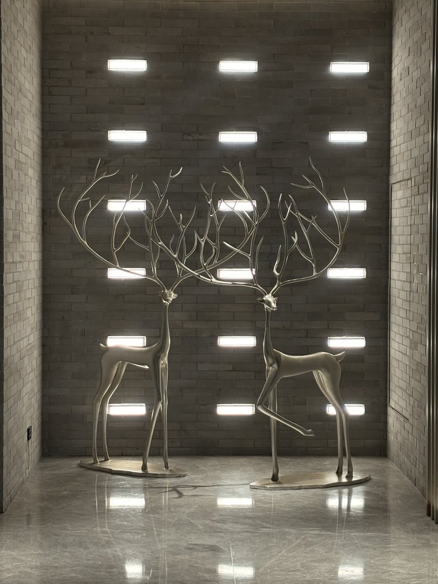 XLEDIA Japan【公式】 tweet media