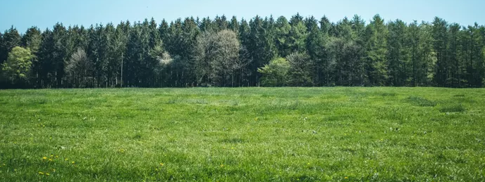 Nightingale Associates tweet media