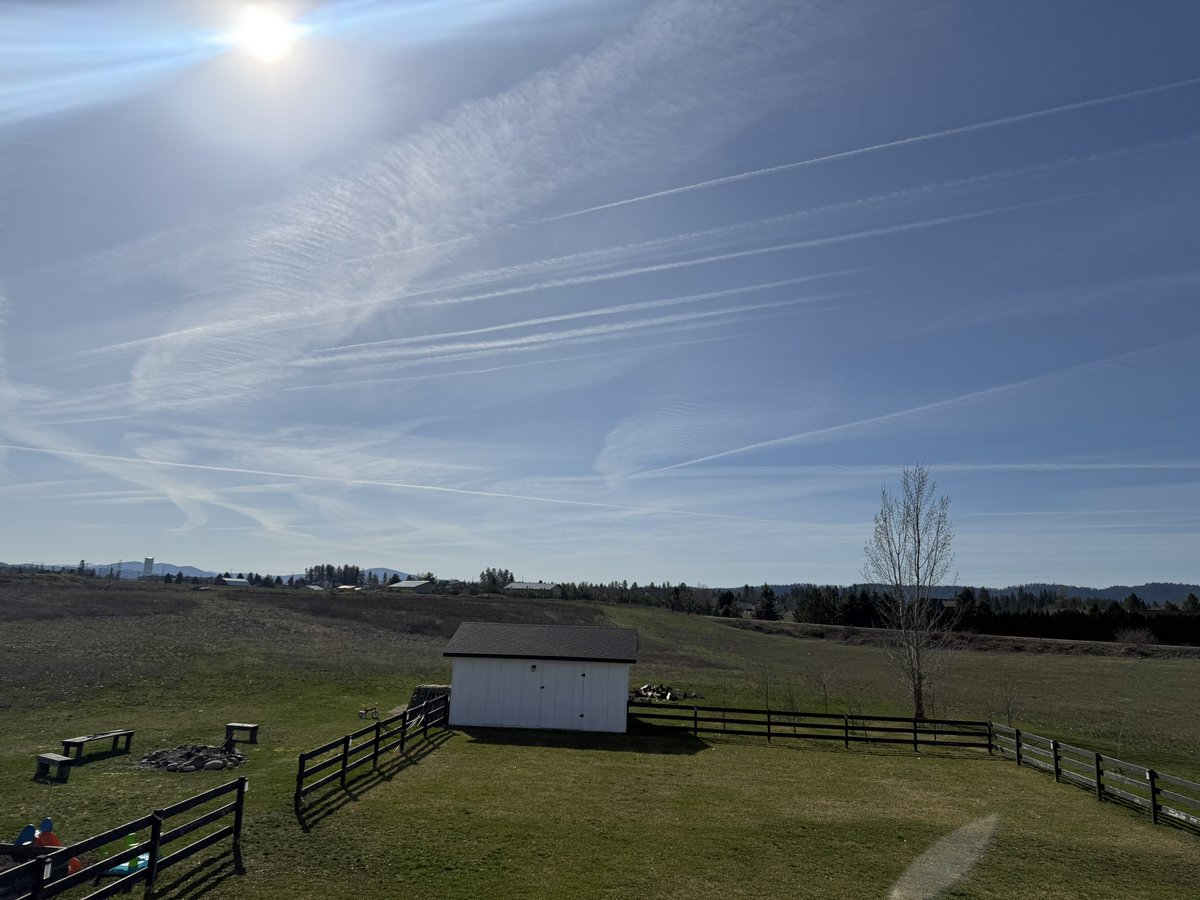 David J. Reilly 🇺🇸 tweet media