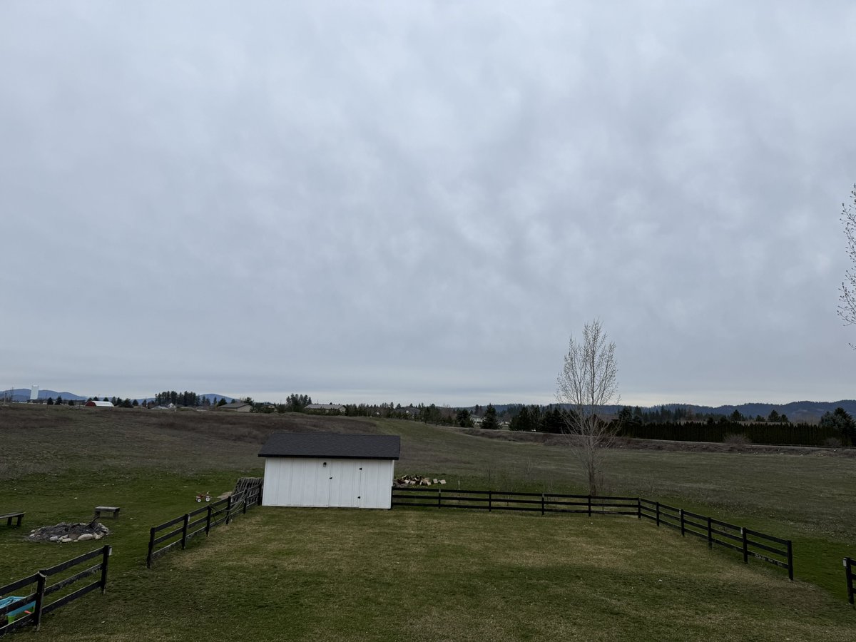 David J. Reilly 🇺🇸 tweet media