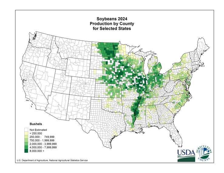Pedro Fernando Nery tweet media