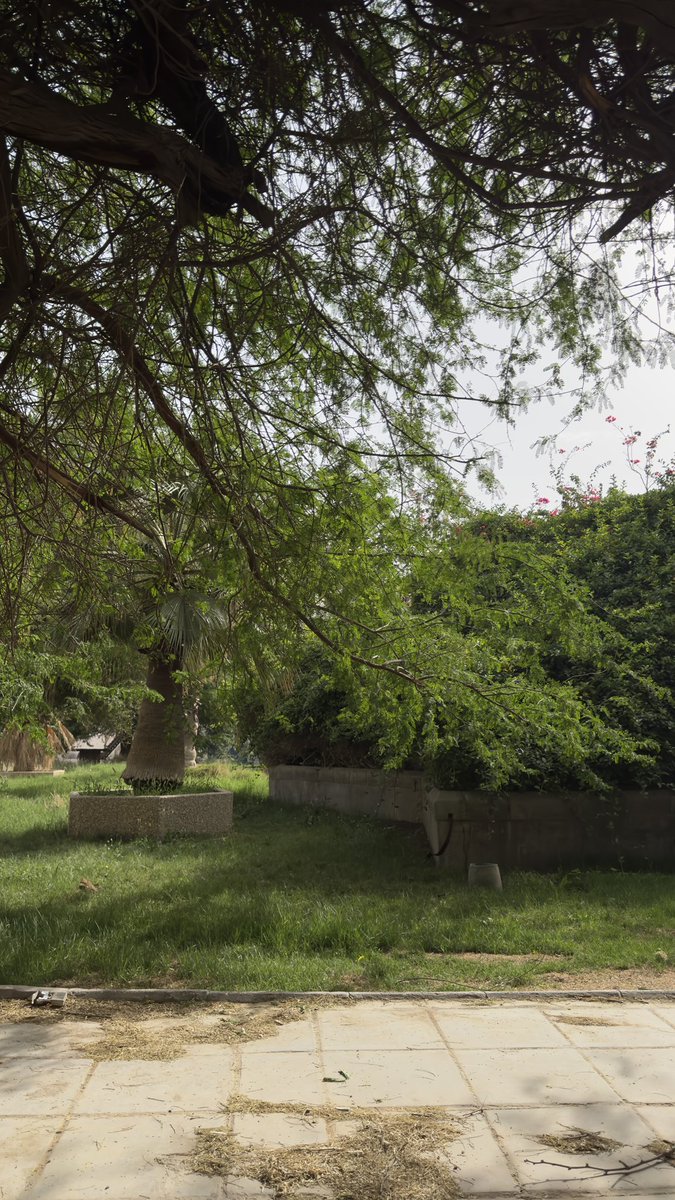 Khalil S. Mohamed🇵🇸🇵🇸🇵🇸 tweet media