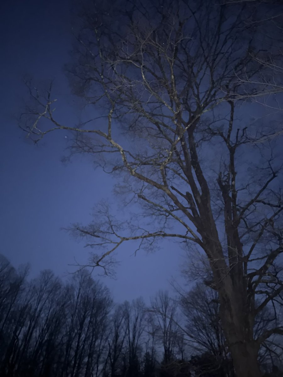 wicca phase springs eternal tweet media