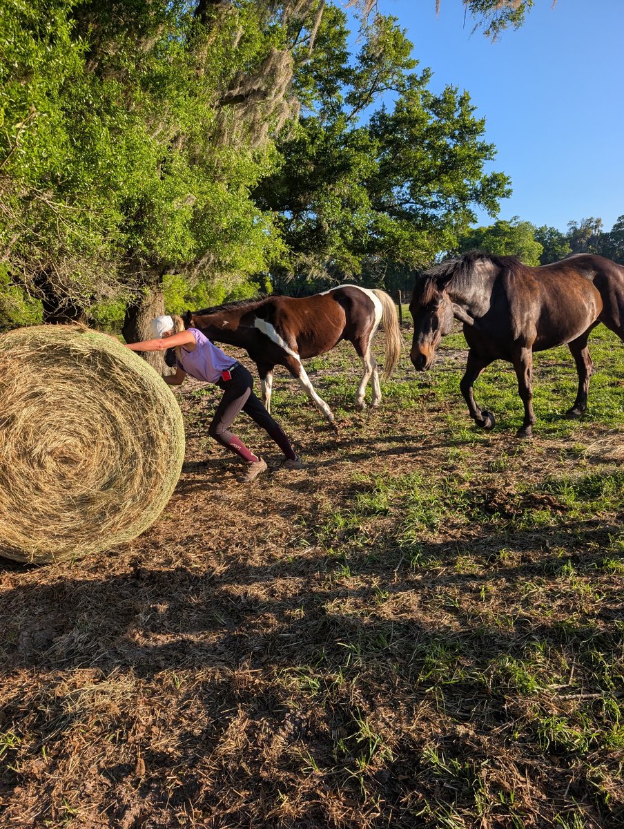 Allegra Suzanne tweet media