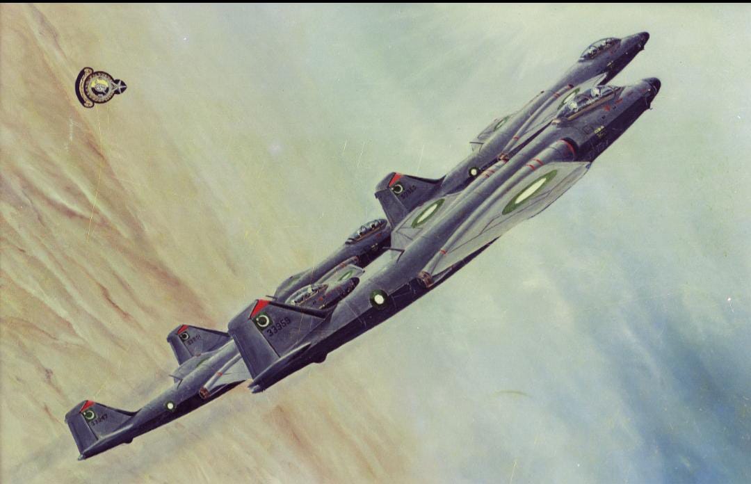 DGPR (AIR FORCE) tweet media