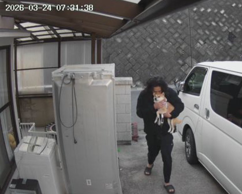 わさび一族 tweet media