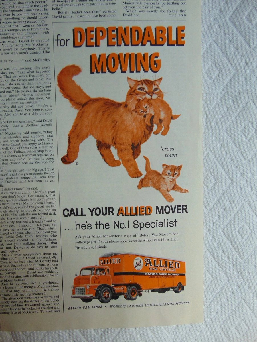 할로우포인트 tweet media