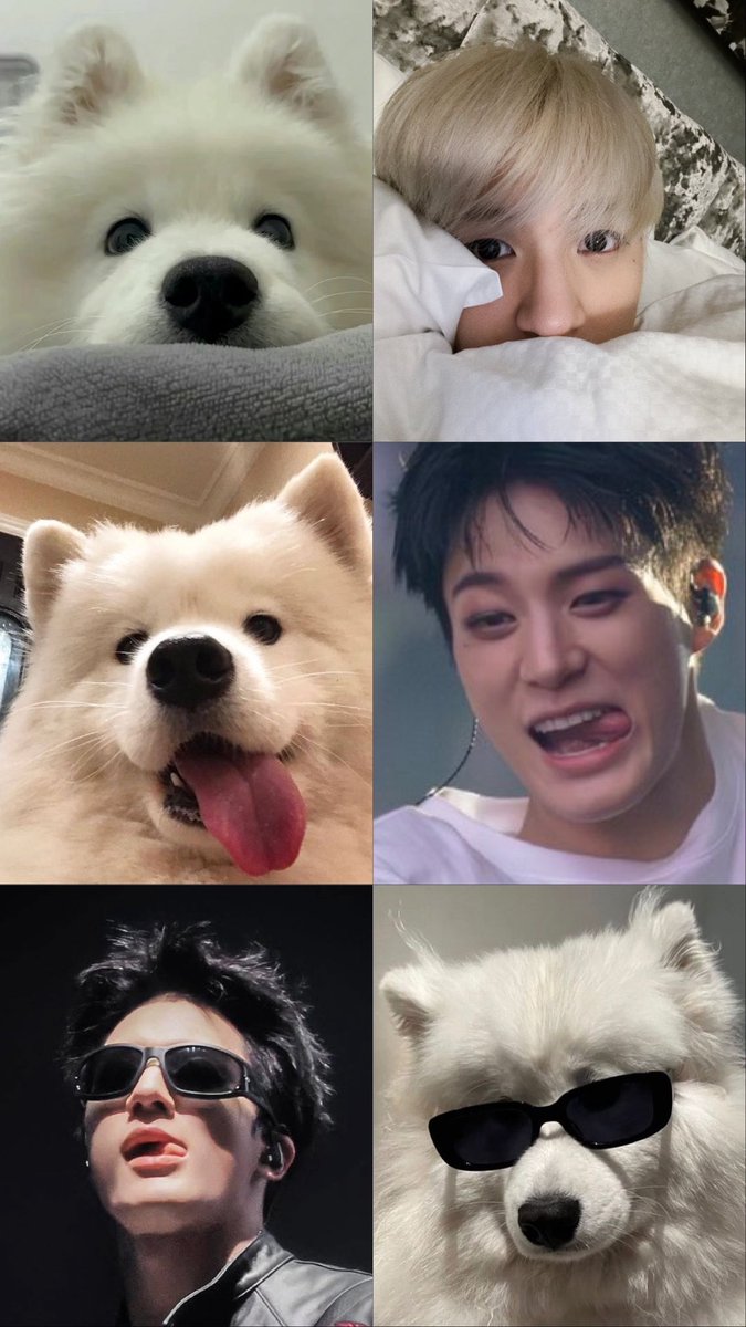 Lali_0od tweet media