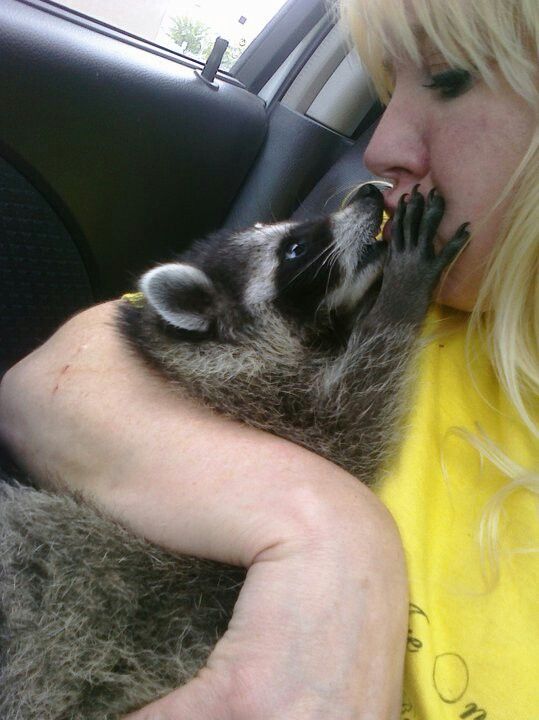 Miss Q. 👑 tweet media