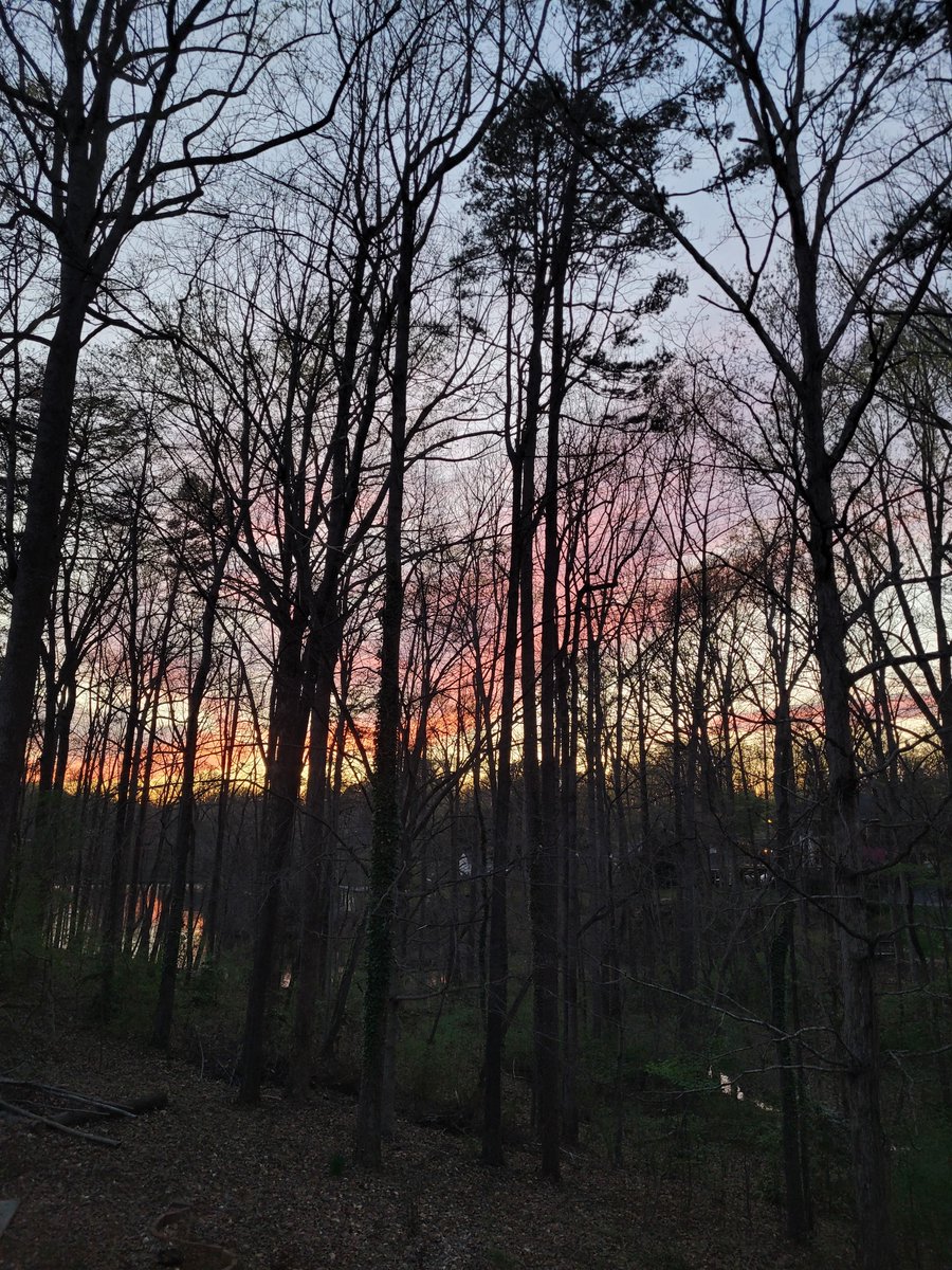 ☕Nick Kurtz stan 🎩🏡🅿️ tweet media