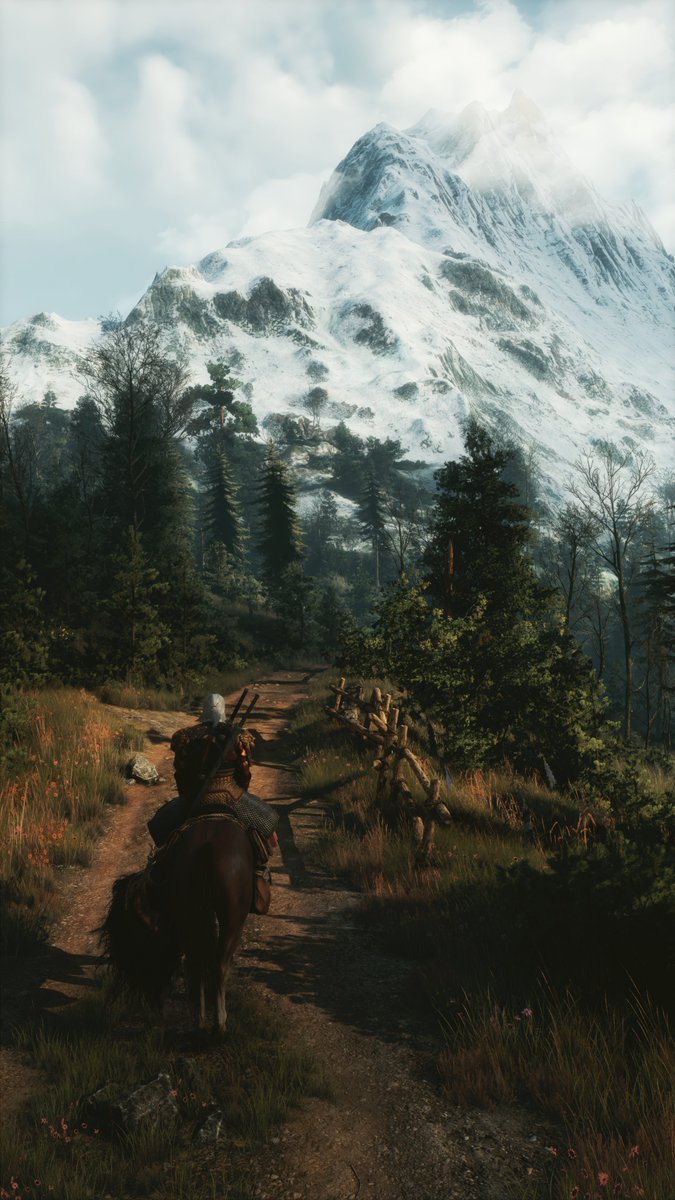 ZeroKing tweet media