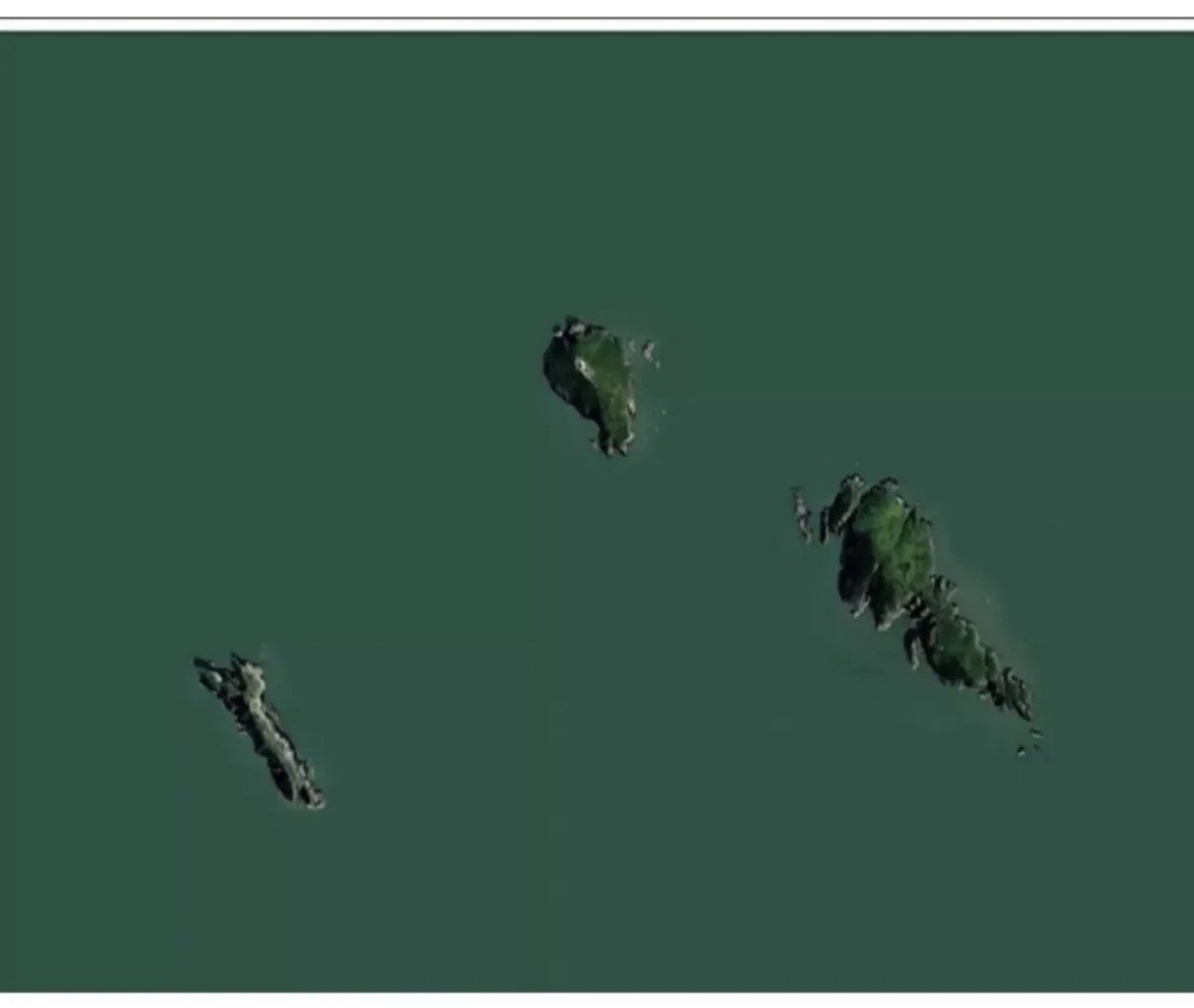 민한⚡️ tweet media