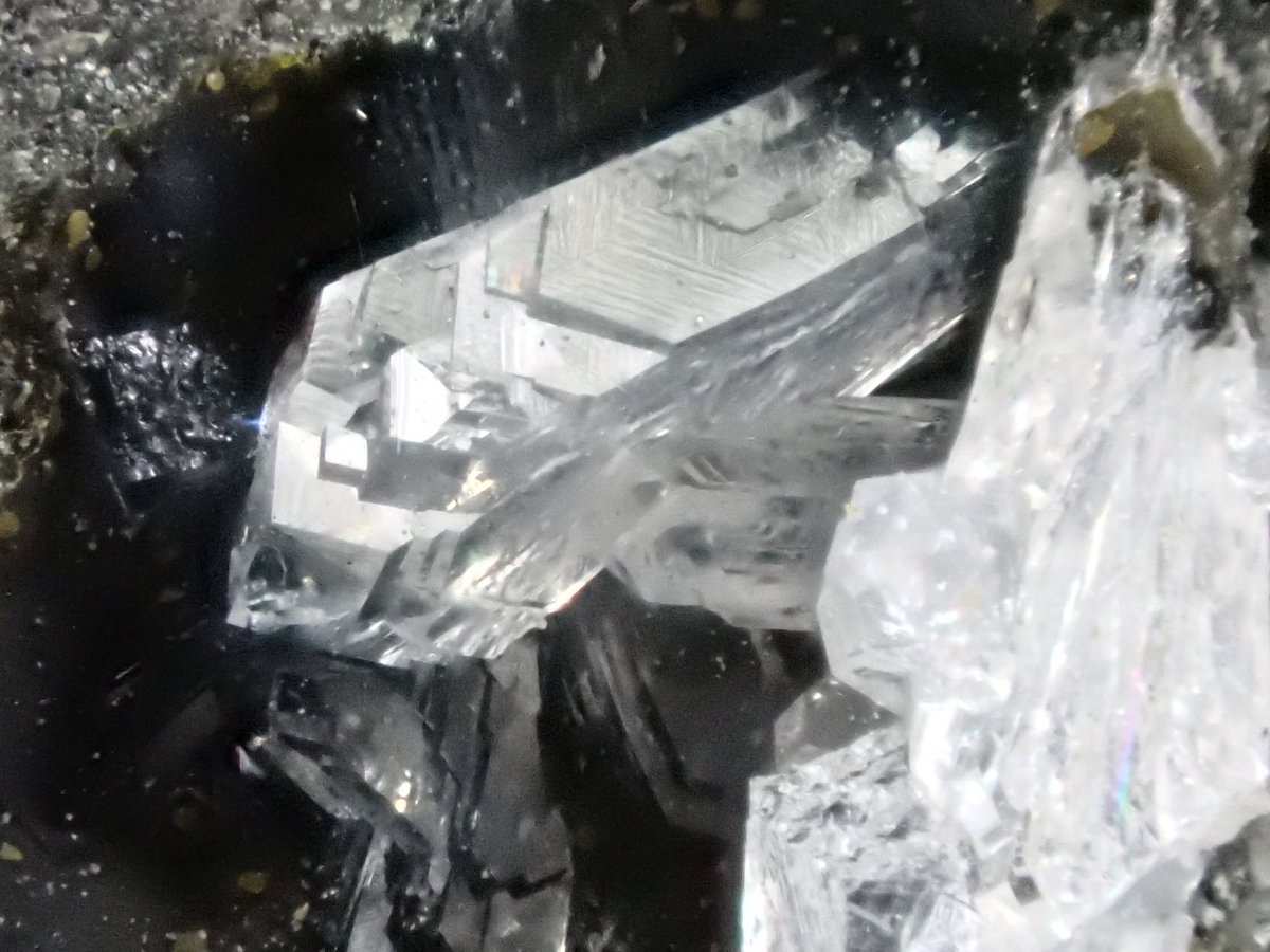 りゅう tweet media