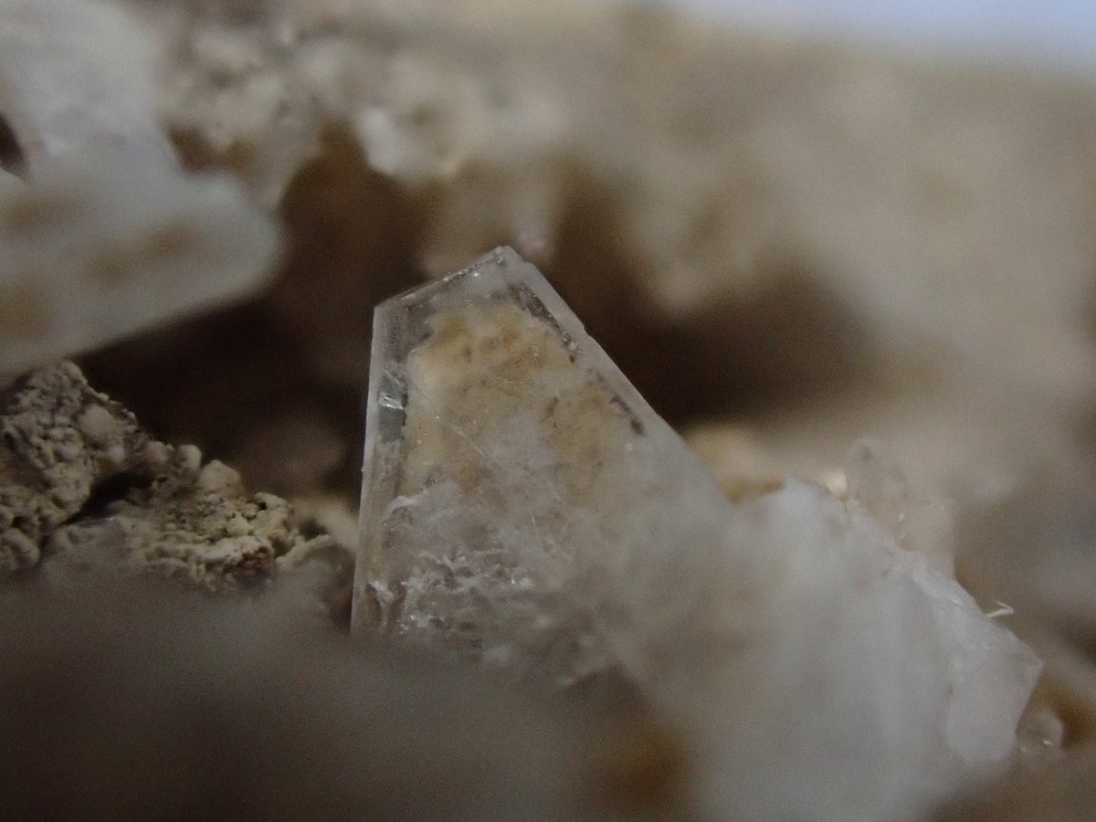 りゅう tweet media